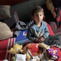 Alimente oferite datorita voua